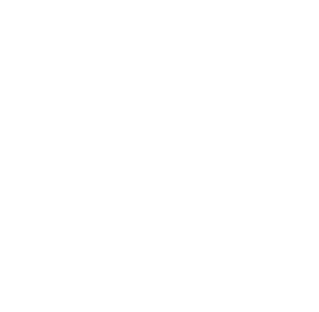 Logo La Puce à l'Oreille